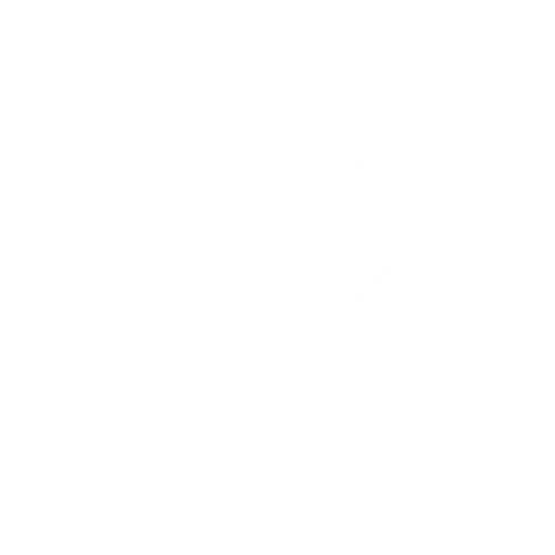 NoElectrico02